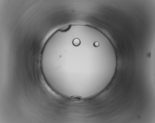 X0000113751484200910211135