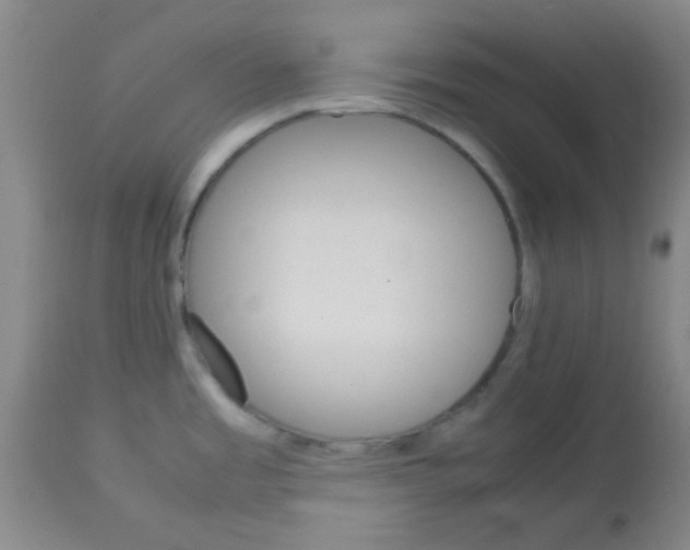 X0000113751485200910211135