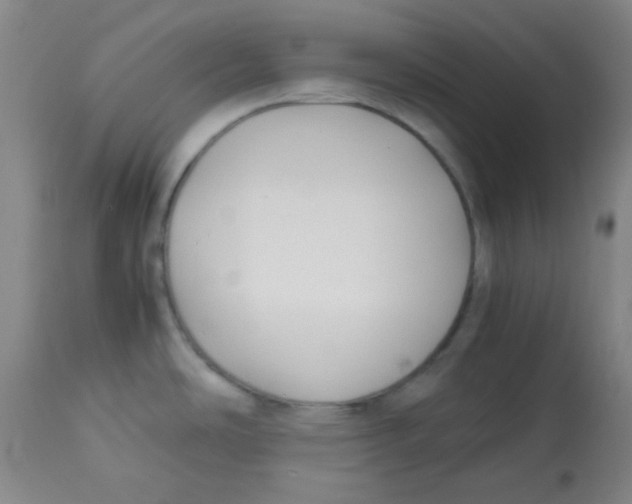 X0000113751486200910211135