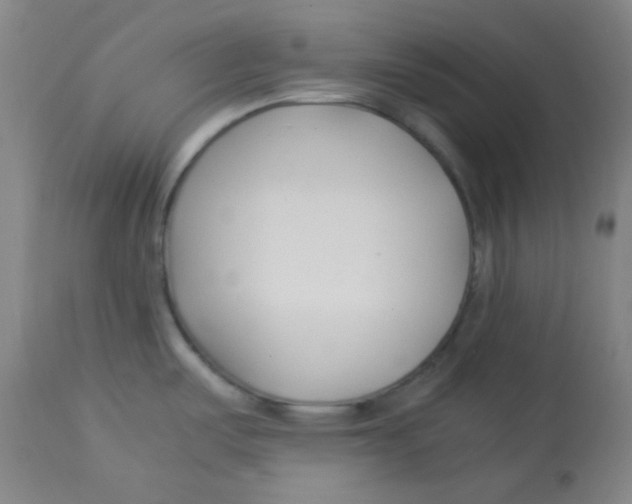 X0000113751487200910211135