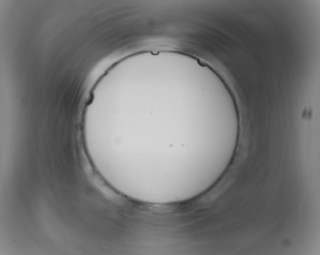 X0000113751488200910211135