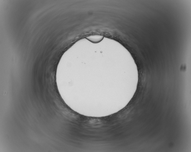 X0000113751489200910211135