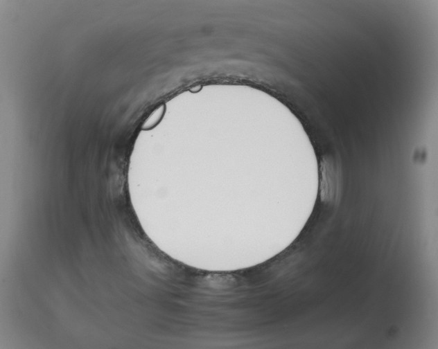 X0000113751491200910211135