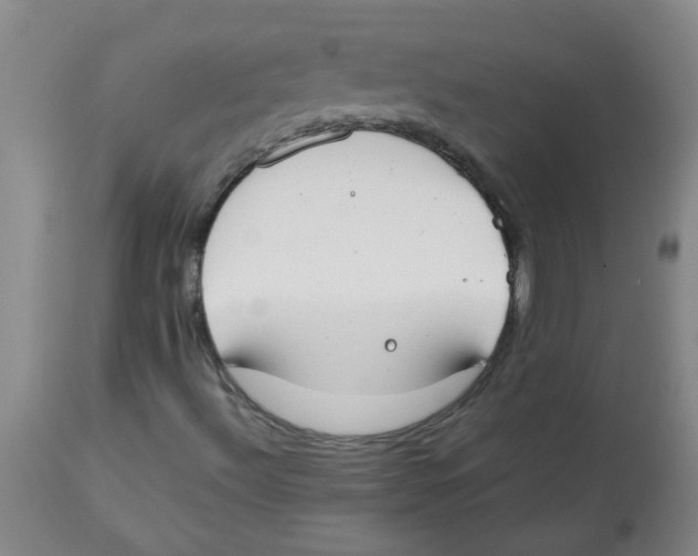 X0000113751492200910211135