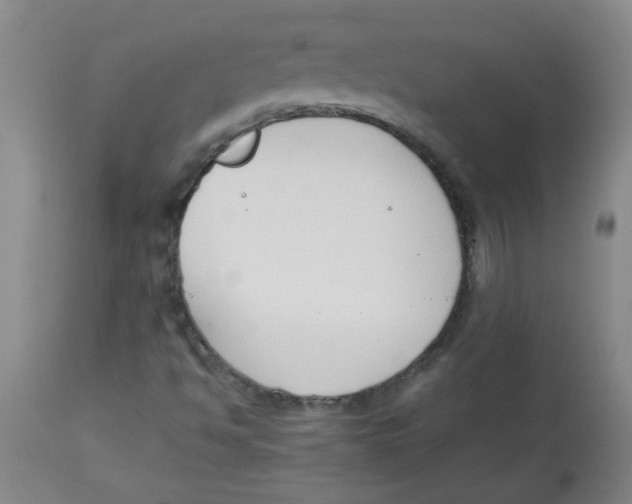 X0000113751494200910211135