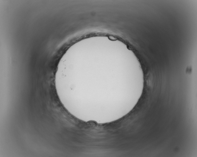 X0000113751495200910211135