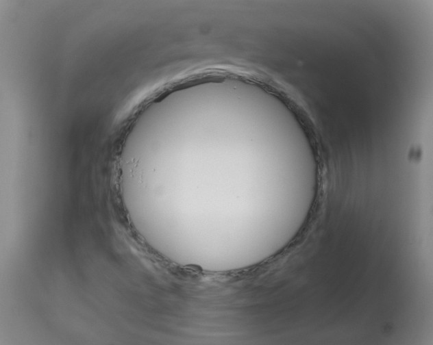 X0000113751496200910211135