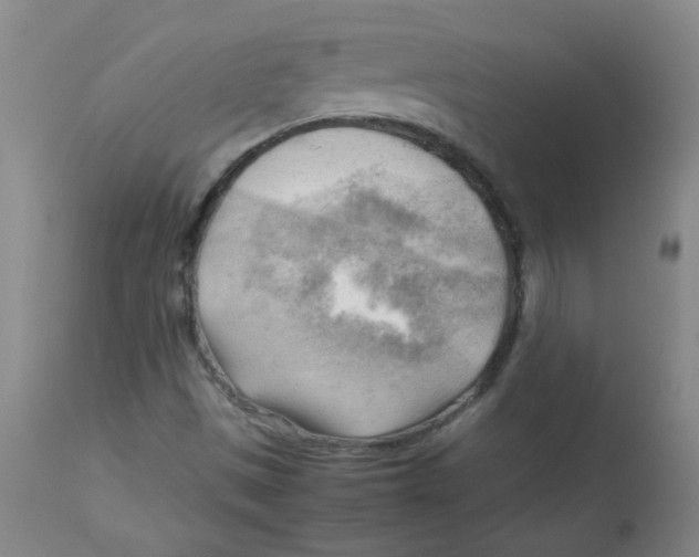 X0000113751497200910211135