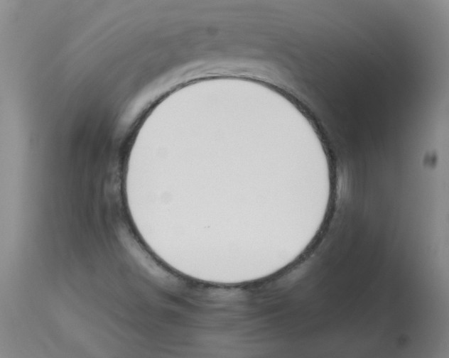 X0000113751498200910211135