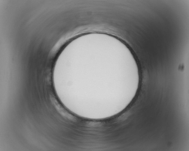 X0000113751499200910211135