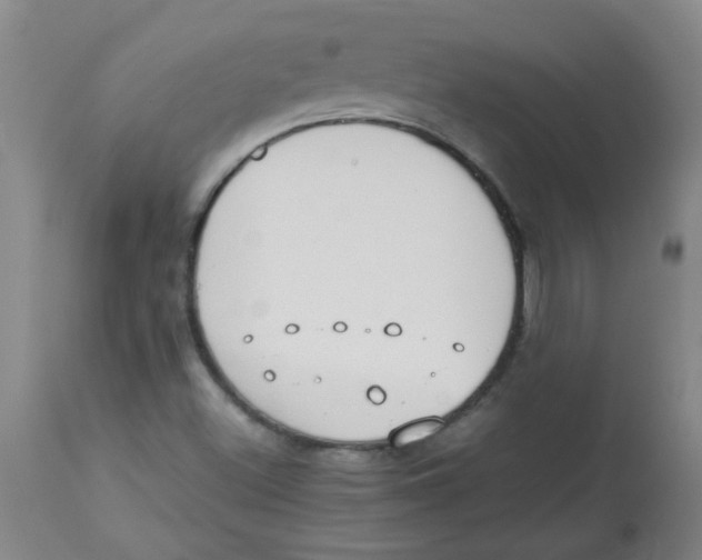 X0000113751500200910211135