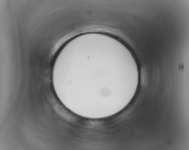 X0000113751501200910211135