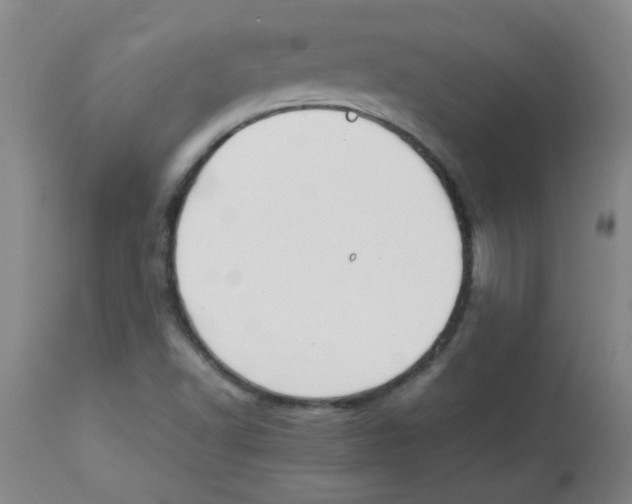 X0000113751502200910211135