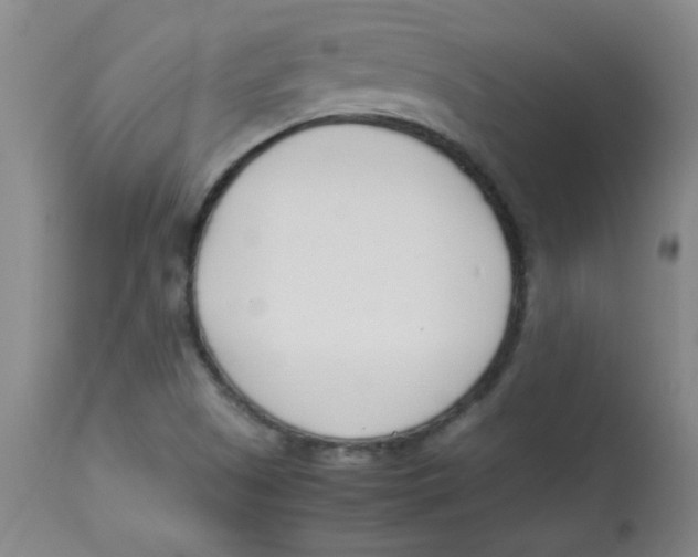 X0000113751505200910211135