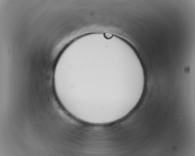 X0000113751507200910211135