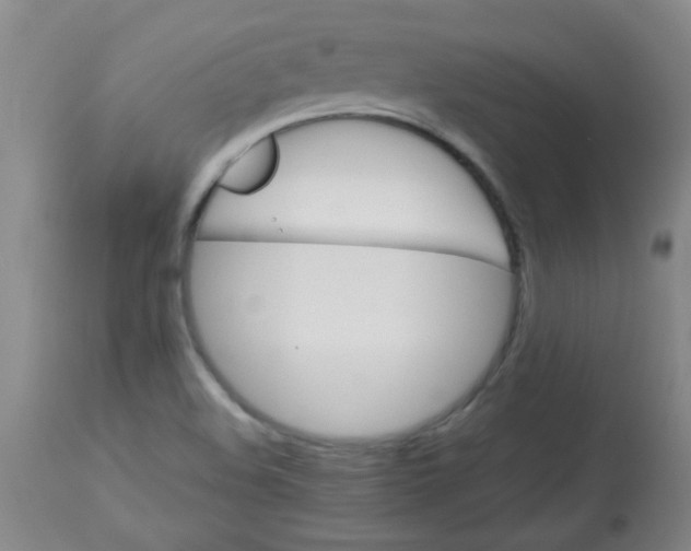 X0000113751508200910211135