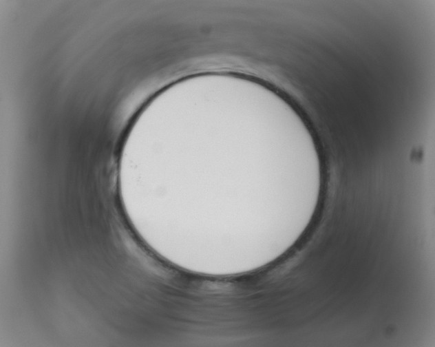 X0000113751509200910211135