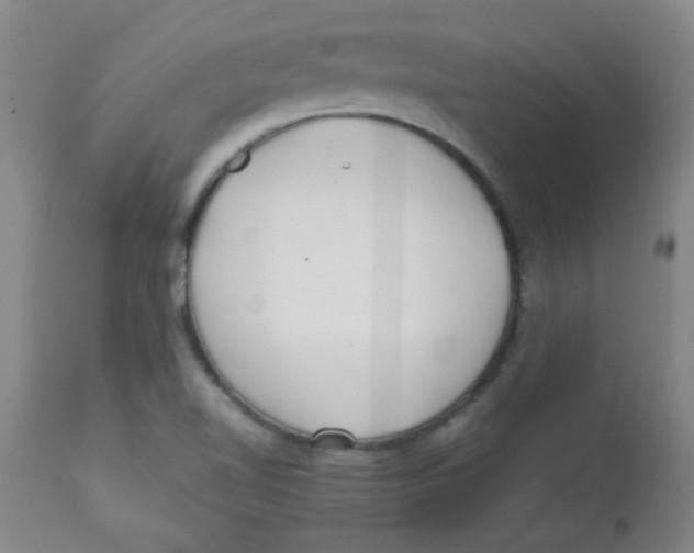 X0000113751510200910211135