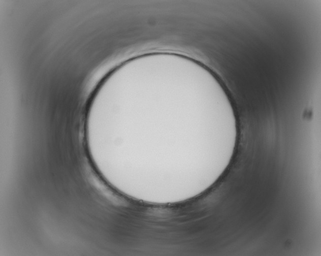 X0000113751511200910211135