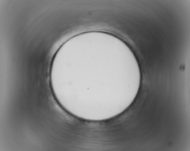 X0000113751512200910211135