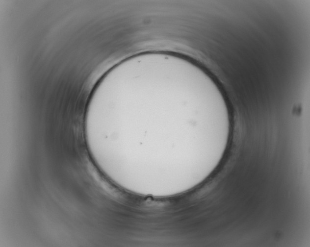 X0000113751513200910211135