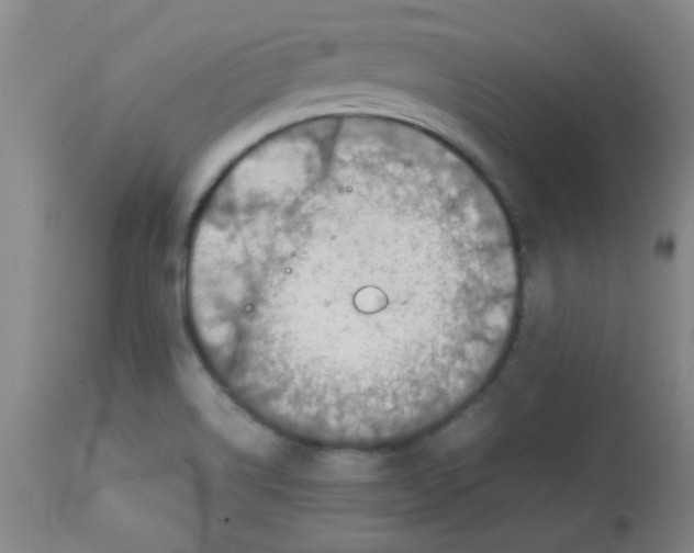 X0000113751514200910211135