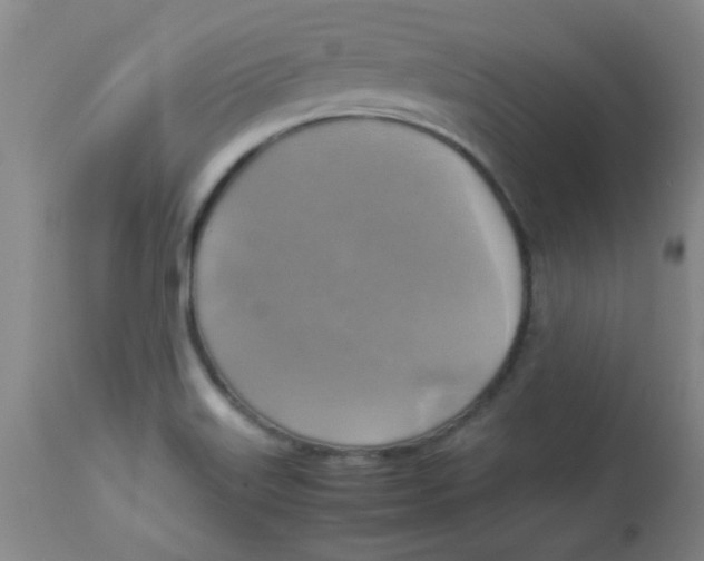 X0000113751515200910211135