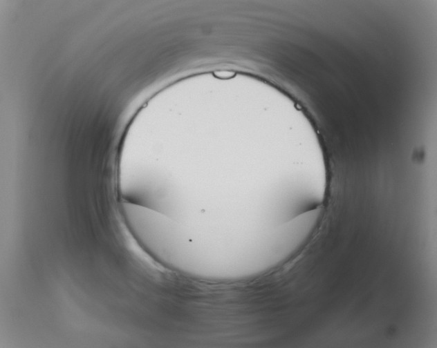 X0000113751516200910211135