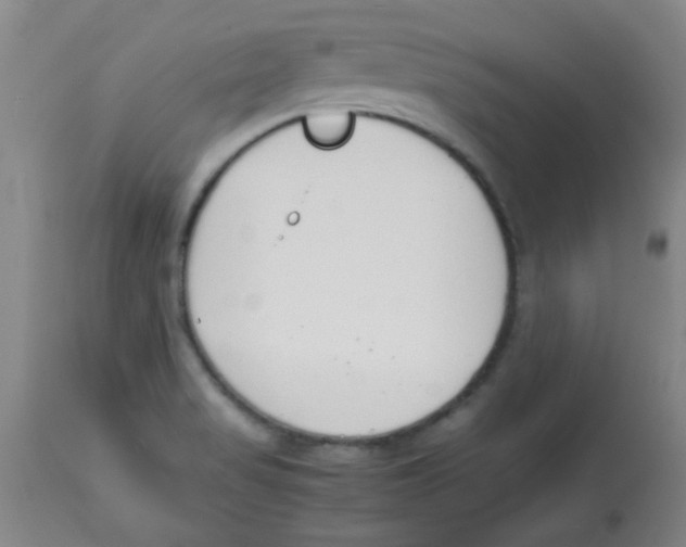 X0000113751517200910211135