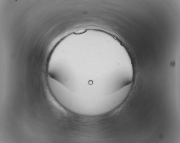 X0000113751518200910211135