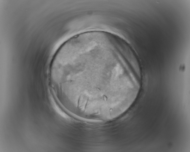 X0000113751519200910211135