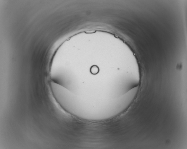 X0000113751520200910211135