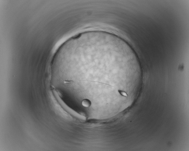 X0000113751522200910211135