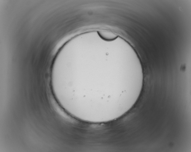 X0000113751523200910211135