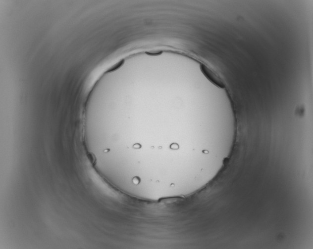 X0000113751524200910211135