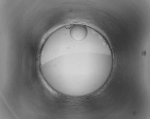 X0000113751525200910211135