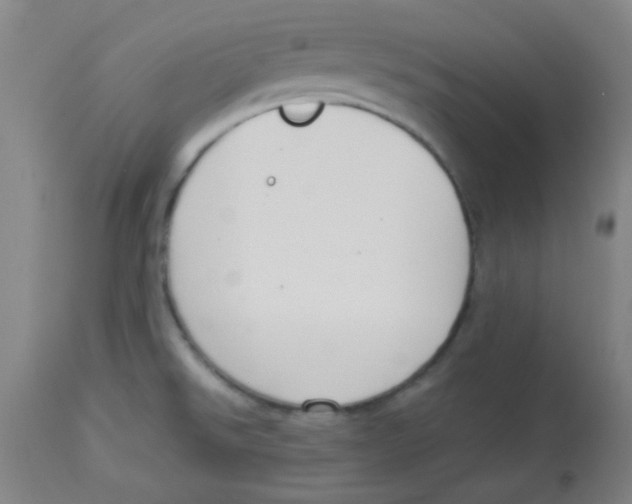 X0000113751526200910211135