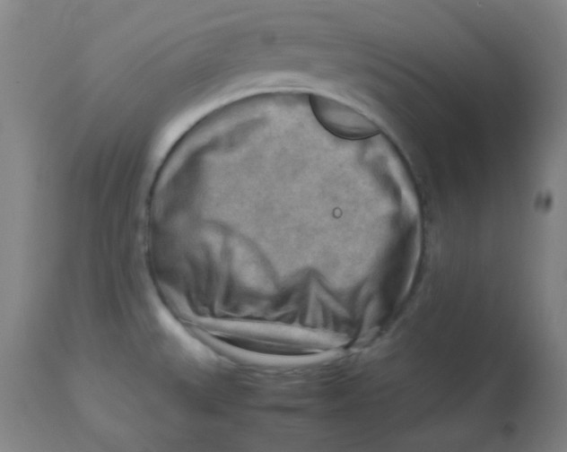 X0000113751527200910211135