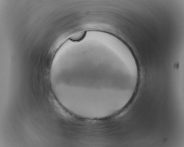 X0000113751529200910211135