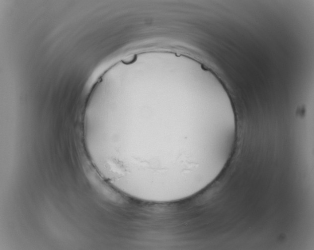 X0000113751530200910211135