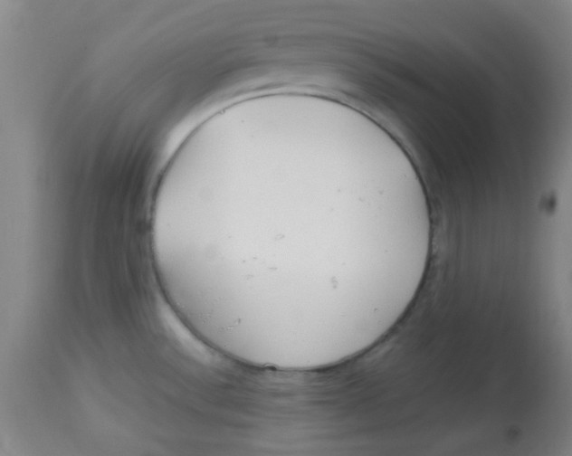 X0000113751532200910211135