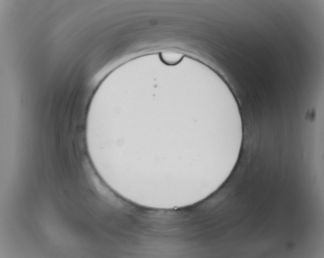 X0000113751534200910211135