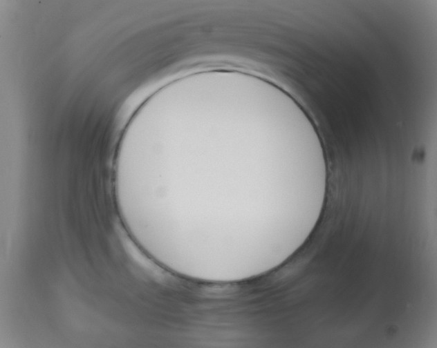 X0000113751535200910211135