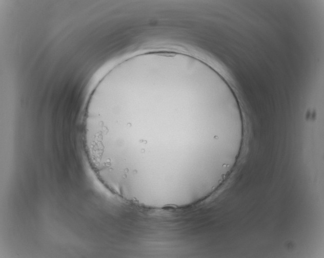 X0000113751536200910211135