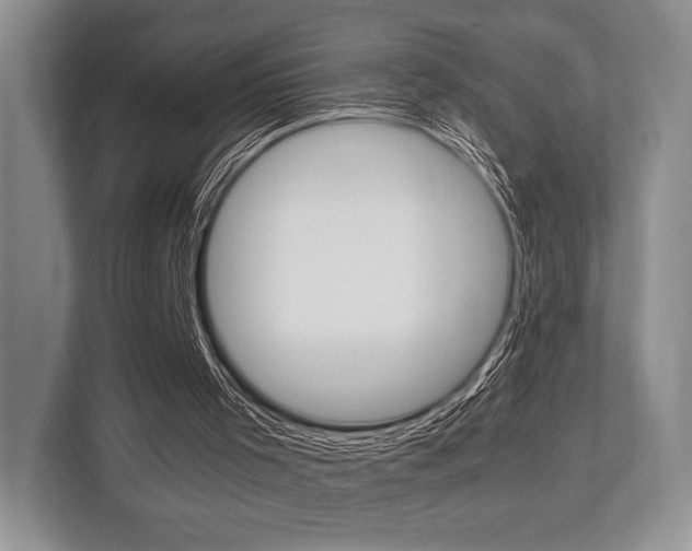 X0000113760001200909230957