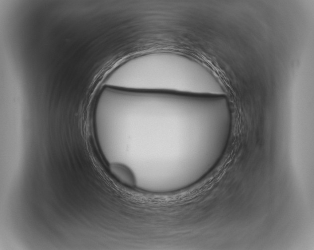 X0000113760002200909230957