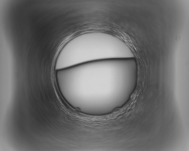 X0000113760003200909230957