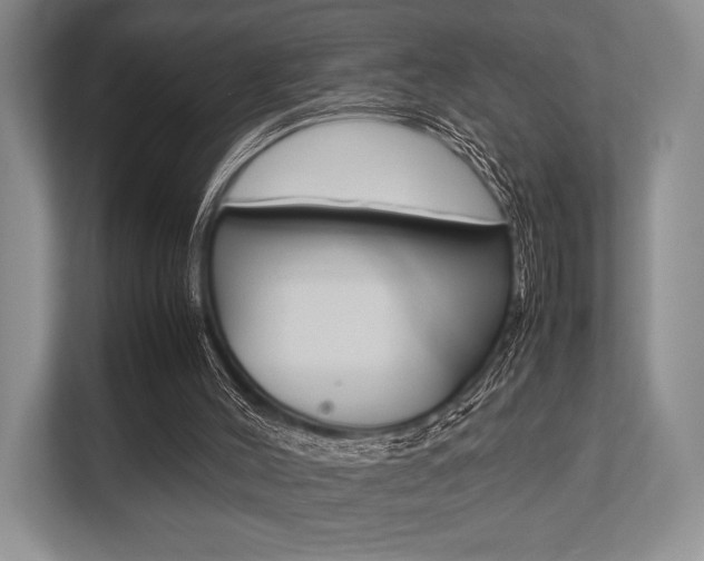 X0000113760004200909230957