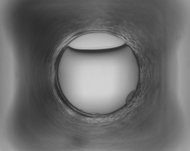 X0000113760005200909230957
