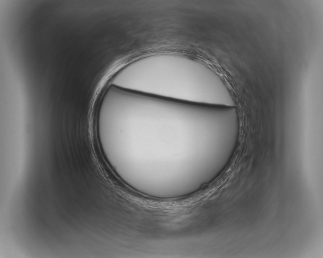 X0000113760006200909230957